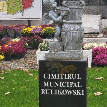 Curse rapide între Piaţa Unirii/Episcopia Greco-Catolică şi Cimitirul Rulikowski